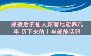 嫁接后的仙人球落地能养几年 切下来的上半部能活吗